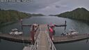 ./images/calvert/dock/20260607/dock20260607_194502M.jpg