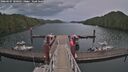 ./images/calvert/dock/20260607/dock20260607_200001M.jpg