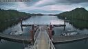 ./images/calvert/dock/20260608/dock20260608_050001M.jpg