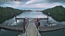 ./images/calvert/dock/20260608/dock20260608_050501M.jpg