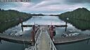 ./images/calvert/dock/20260608/dock20260608_051002M.jpg
