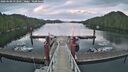 ./images/calvert/dock/20260608/dock20260608_052501M.jpg