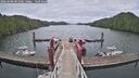 ./images/calvert/dock/20260608/dock20260608_081002M.jpg