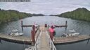 ./images/calvert/dock/20260608/dock20260608_083002M.jpg