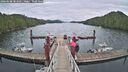 ./images/calvert/dock/20260608/dock20260608_083501M.jpg