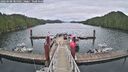 ./images/calvert/dock/20260608/dock20260608_085001M.jpg