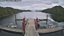 ./images/calvert/dock/20260608/dock20260608_112001M.jpg