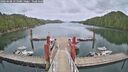 ./images/calvert/dock/20260608/dock20260608_151001M.jpg