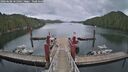 ./images/calvert/dock/20260608/dock20260608_161002M.jpg