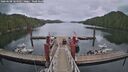 ./images/calvert/dock/20260608/dock20260608_164501M.jpg