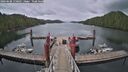 ./images/calvert/dock/20260608/dock20260608_170001M.jpg