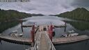 ./images/calvert/dock/20260608/dock20260608_170501M.jpg