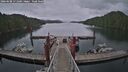 ./images/calvert/dock/20260608/dock20260608_171501M.jpg