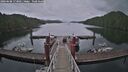./images/calvert/dock/20260608/dock20260608_173001M.jpg