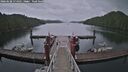 ./images/calvert/dock/20260608/dock20260608_174501M.jpg