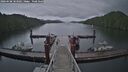 ./images/calvert/dock/20260608/dock20260608_183002M.jpg