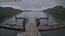 ./images/calvert/dock/20260608/dock20260608_185501M.jpg