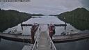 ./images/calvert/dock/20260608/dock20260608_194002M.jpg