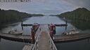 ./images/calvert/dock/20260608/dock20260608_202501M.jpg