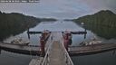 ./images/calvert/dock/20260608/dock20260608_203001M.jpg