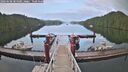 ./images/calvert/dock/20260608/dock20260608_204501M.jpg