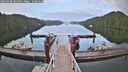 ./images/calvert/dock/20260608/dock20260608_205001M.jpg