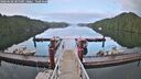 ./images/calvert/dock/20260608/dock20260608_205501M.jpg