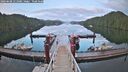 ./images/calvert/dock/20260608/dock20260608_211001M.jpg
