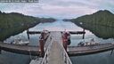 ./images/calvert/dock/20260608/dock20260608_214501M.jpg