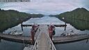 ./images/calvert/dock/20260608/dock20260608_215501M.jpg