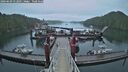 ./images/calvert/dock/20260609/dock20260609_052002M.jpg