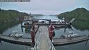 ./images/calvert/dock/20260609/dock20260609_052501M.jpg