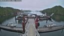 ./images/calvert/dock/20260609/dock20260609_053001M.jpg