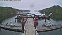 ./images/calvert/dock/20260609/dock20260609_053501M.jpg