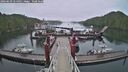 ./images/calvert/dock/20260609/dock20260609_054002M.jpg