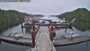 ./images/calvert/dock/20260609/dock20260609_054501M.jpg
