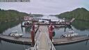 ./images/calvert/dock/20260609/dock20260609_055001M.jpg