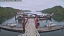 ./images/calvert/dock/20260609/dock20260609_055501M.jpg