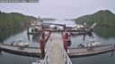 ./images/calvert/dock/20260609/dock20260609_062002M.jpg