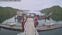 ./images/calvert/dock/20260609/dock20260609_063001M.jpg