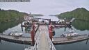 ./images/calvert/dock/20260609/dock20260609_063501M.jpg