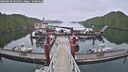 ./images/calvert/dock/20260609/dock20260609_064001M.jpg