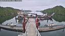 ./images/calvert/dock/20260609/dock20260609_064501M.jpg