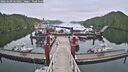 ./images/calvert/dock/20260609/dock20260609_065001M.jpg