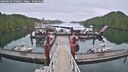 ./images/calvert/dock/20260609/dock20260609_070002M.jpg