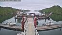 ./images/calvert/dock/20260609/dock20260609_070501M.jpg