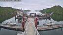 ./images/calvert/dock/20260609/dock20260609_071001M.jpg
