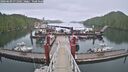 ./images/calvert/dock/20260609/dock20260609_071502M.jpg