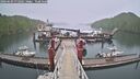./images/calvert/dock/20260609/dock20260609_072002M.jpg