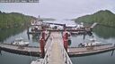 ./images/calvert/dock/20260609/dock20260609_072501M.jpg